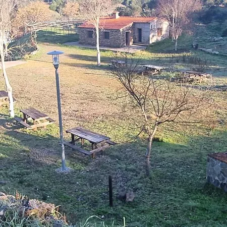 Tatil Evi Racha Rachel, *